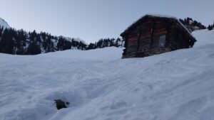 A la sortie de la forêt
