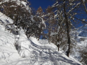 Sentier du bas bien enneigé avec une double trace
