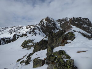 Le sapin de Noël toujours là