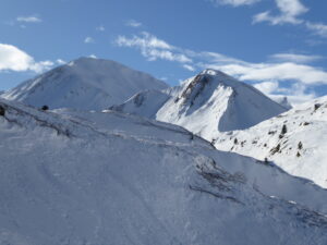 Tête de Ferret à gauche