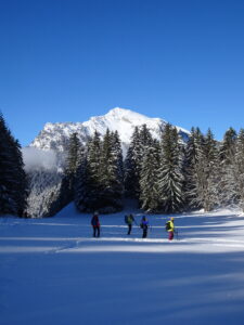 Toujours le Grand Som