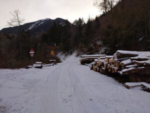 Au départ au-dessus du Borgeaud, l'enneigement semblait suffisant