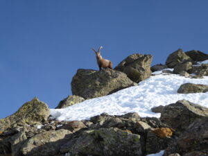 Sur l'arête en haut du couloir sud