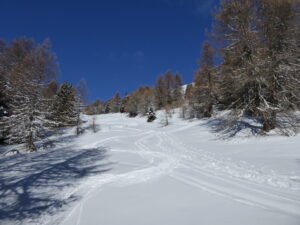 Bientôt la sortie de la forêt