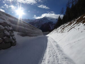 Les travaux de soutènement en cours