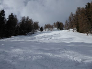 A la sortie de la forêt sous les Tseppes