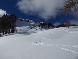 Bonne neige pour descendre sur les Tseppes