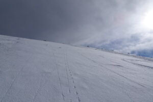 Le meilleur et de loin !