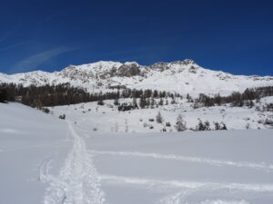 A 1600 m. Enneigement conséquent (photo du 20/02)