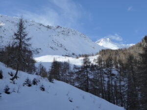 A la sortie de la forêt, l'entrée du vallon d'Ars