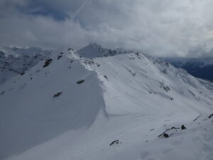 Les côtes et la tête de Serena