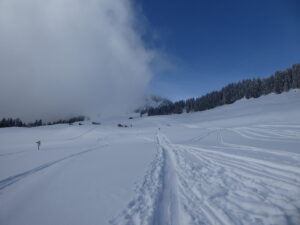 Alpage de l'Arpille, sommet encore dans le nuage
