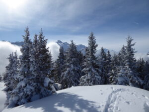 Mont Blanc du sommet