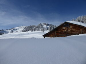 Arpille de l'alpage homonyme