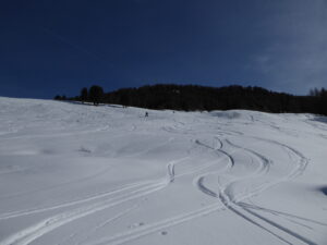Entre Rond Perrin et Champchenille