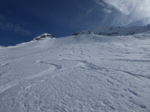 Bonne poudreuse et encore un peu de place pour faire sa trace