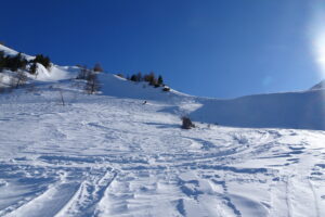 Quelques bonnes sections