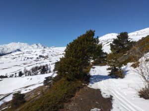 Le sentier à flanc (1900) qui permet de rejoindre le vallon de Verrogne pas enneigé en continu