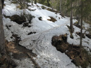 Juste un passage déneigé