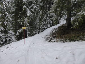 Puis on emprunte assez vite un sentier en forêt