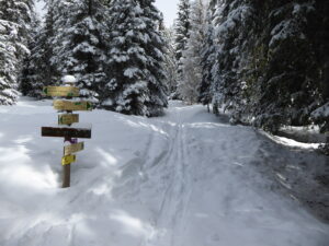 Vers les Frasses et le col de Jaillet