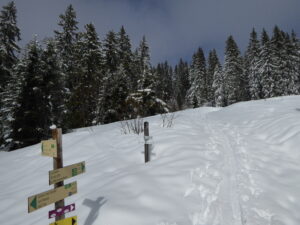 Vers le col de Jaillet