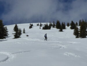 Poudreuse un peu lourde, pas désagréable à skier