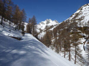 Chemin emprunté sous la route du GSB