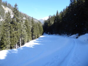 Descente vers le pont de Tsarevesse