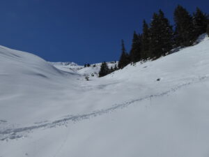 A la sortie de la forêt, montée vers les Arpalles.