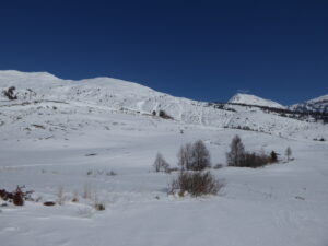 Au sol c'est bien blanc par contre le vent a fait tomber la neige des arbres