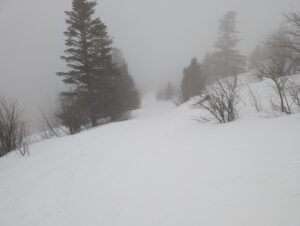 PXL_20260325_152441157