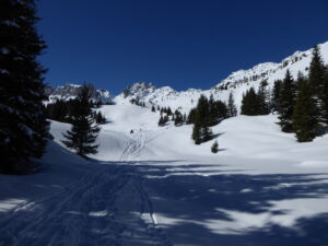 Arrivée aux Prés à la sortie de la forêt