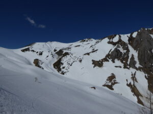 Les Herbagères, tête de Balme, Arolette