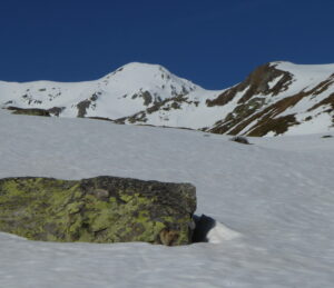 Pointe des trois Lacs. Les marmottes sont de sortie.