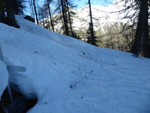 J'ai emprunté l'itinéraire du chalet de l'Epée en forêt