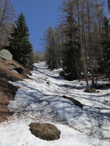 ça skie encore dans la forêt jusqu'aux abords de Lavachey